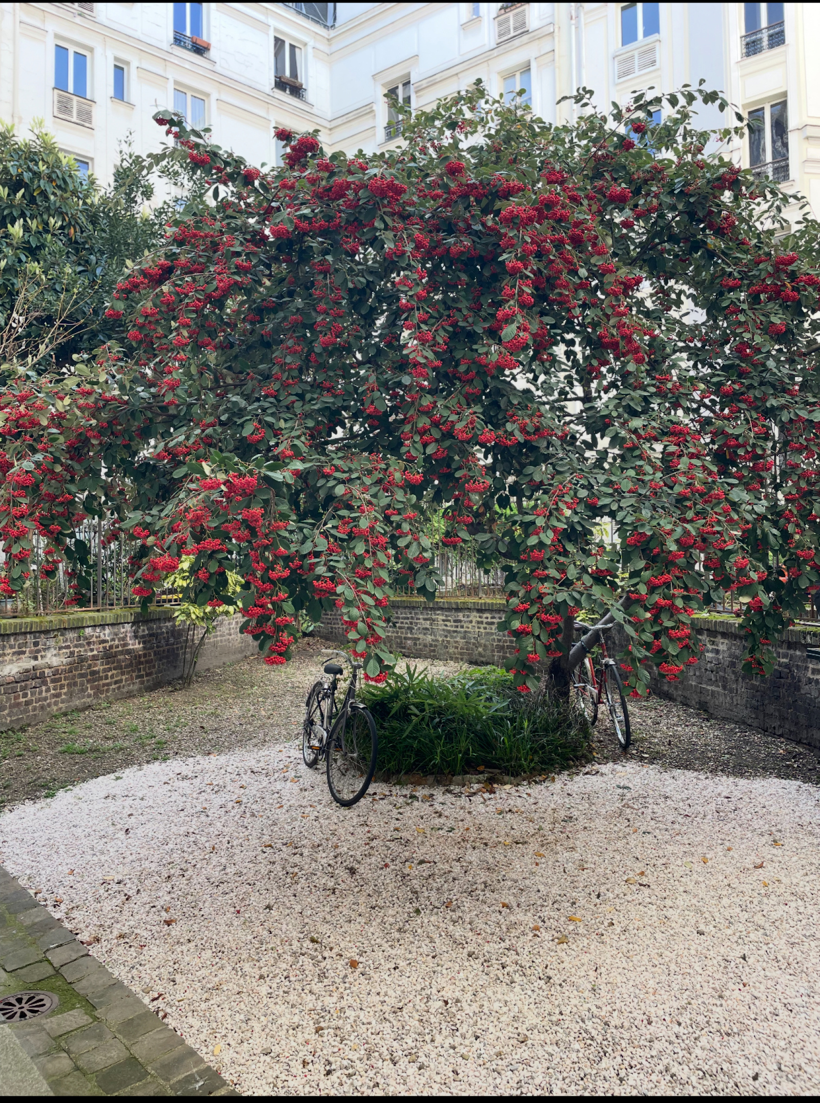 Image_4, Studio, Asnières-sur-Seine, ref :52